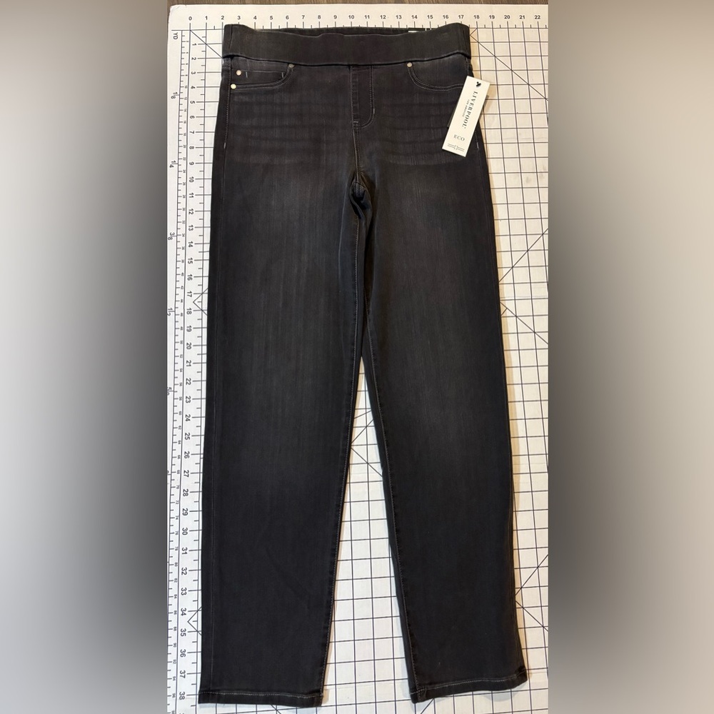 NWT Liverpool Women’s Size 6/28 Meteorite Wash Pull-On High Rise Jeans